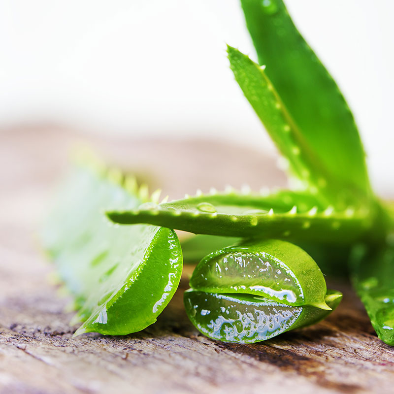 OUR ACTIVE INGREDIENTS